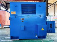 Moteur asynchrone vertical haute tension pour l'exploitation minière, moteur électrique à haute efficacité et à économie d'énergie