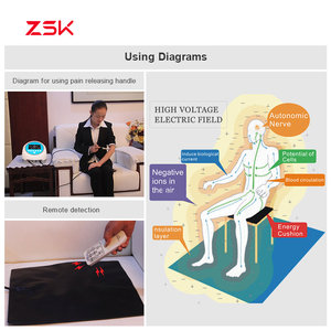 Dispositivo de Terapia de Alto Potencial (HPT) Electromagnético de Potencial Negativo para <span class=keywords><strong>el</strong></span> Alivio del Dolor Articular y Óseo Personal - Product Image 3