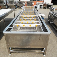 Machine de nettoyage industrielle pour fruits et légumes, pommes, avec convoyeur et laveur à bulles à air