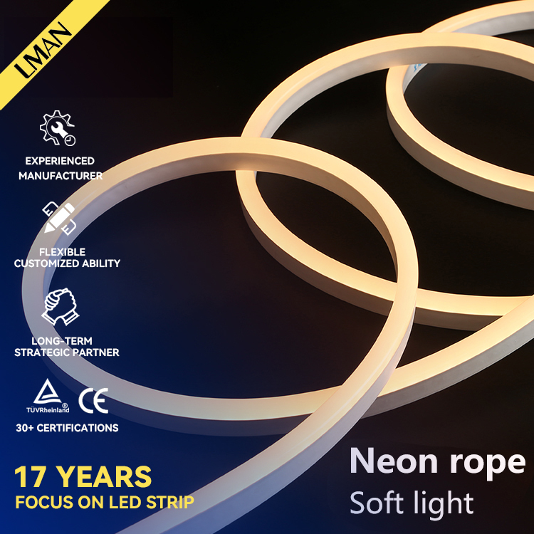 OEM ODM Silicone Extrusion Neon Rope 110V 127V 260V Outdoor IP65 Waterproof 120leds/m Smart SMD 2835 Led Strip Light Landscape
