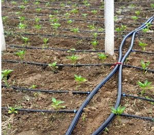 16/20/25/32/40/50/63/75mm Agriculture Irrigation HDPE Tuyau <span class=keywords><strong>Serre</strong></span> Agriculture Hydroponique - Product Image 6