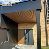 Panneau mural extérieur de style européen en WPC, durable, imperméable, anti-UV, haute résistance, pour terrasse et zone piscine, certifié CE