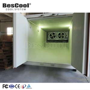 Mobile Blast Freezer -60 Degree Freezer <strong>Container</strong> 20ft Cold Storage Room For Fish Meat Frozen - Product Image 3