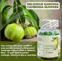 Vitaliteitsverhogende Tenghuang Fruit Complex Vitamine Vitaliteits Suiker-vrije Cartoon-vormige Gummies 60 Stuks Per Fles
