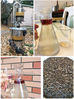 Extracteur d'éthanol Hexane Butane Machine d'extraction par solvant Équipement de réservoir d'extraction d'huile essentielle d'usine