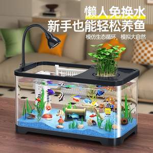 Mini acuario rectangular de 10L con filtro y generador de oxígeno para peces dorados, tanque ecológico de escritorio, fácil de limpiar, diseño de plástico. - Product Image 5