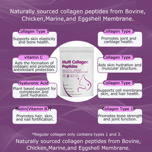 Poudre de peptides de collagène multiples OEM avec acide hyaluronique, biotine et vitamine C – Produits de beauté pour la peau des adultes - Product Image 4
