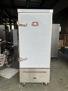 RTK filippine fornitore di prodotti acquista 10 per ottenere 1 commerciale in acciaio inox Gas riso piroscafo 12 vassoi - Product Image 3