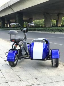 Motocyclette à side-car à 3 roues électrique <span class=keywords><strong>pliable</strong></span> avec side-car de transport, scooter <span class=keywords><strong>tricycle</strong></span>, kit side-car pour chiens et enfants - Product Image 2
