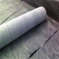 Géomembrane en argile synthétique (GCL) Bentonite pour les projets de terrassement routier et d'infrastructure