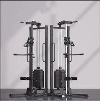 Appareil de musculation Flying Bird Trainer en métal pour tirage vertical, exercices de musculation du dos, usage en club, pliable et durable