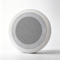 Haut-parleur de plafond de haute qualité au design moderne, compatible avec l'amplificateur de musique de fond, monté au plafond
