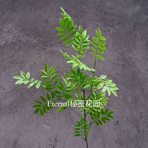 Plante artificielle d'asperge Secret Garden, 90 cm de long, feuilles en plastique, branche décorative pour mariage - Product Image 3