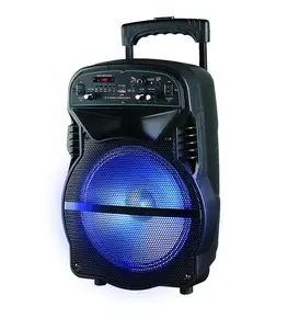 Speaker T-1012 Portabel 10 Inci TWS Karaoke, Speaker Troli dengan Baterai dan Amplifier Bawaan