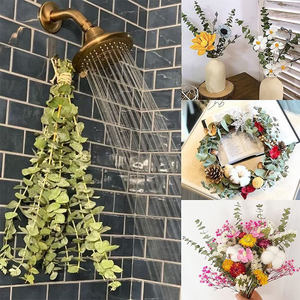 Personnalisé Professionnel Décoratif Preseved l Plante Fleur Feuilles D'eucalyptus - Product Image 2