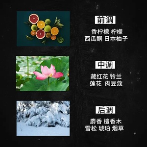 Bestseller Perfume para hombre Fragancia ligera <span class=keywords><strong>de</strong></span> larga duración 75ML al por mayor-Water for Life <span class=keywords><strong>Pure</strong></span> Water Business - Product Image 6