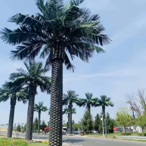 Árbol de Dátil Canario Artificial de Alta Calidad, Decoración de Jardín con Algas Marinas, Árboles Artificiales, Suministros de Jardinería, Planta Artificial - Product Image 1