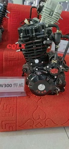 Moteur de tricycle vertical Water Cool 250cc 300cc <span class=keywords><strong>350cc</strong></span> avec arbre d'équilibrage - Product Image 4