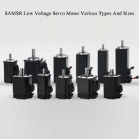 SAMSR Werks preis 100W bis 100W Gleichstrom motoren 24V 48V Niederspannungs-Servomotor und Treibers ätze 3000 U/min Drehzahl Permanent magnet