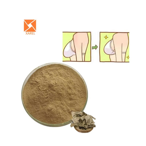 Bahan Mentah kualitas tinggi alami bubuk ekstrak herbal <span class=keywords><strong>Kacip</strong></span> <span class=keywords><strong>Fatimah</strong></span> massal - Product Image 2