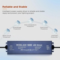 Controlador LED Impermeable IP67 12V/24V 300W Entrada AC110-130V Doble AC-DC Admite Enchufes Personalizados para Alumbrado Público e Iluminación LED Exterior