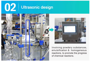 Réacteur en verre avec manomètre de sécurité Surveillance fiable des processus à haute pression - Product Image 4