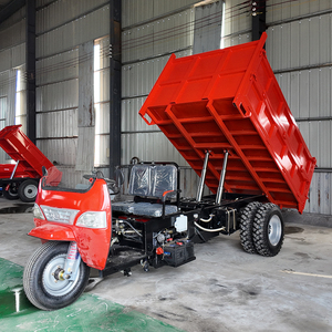 Tricycle à essence à <span class=keywords><strong>3</strong></span> <span class=keywords><strong>roues</strong></span> de haute qualité pour le transport de marchandises - Grande capacité - Vente chaude - Product Image 1