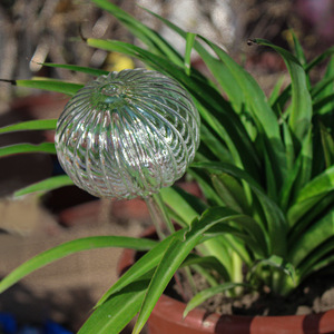 Globi di irrigazione per piante in vetro soffiato a mano di alta qualità - Product Image 2