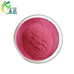 Fabricante de suministro <span class=keywords><strong>al</strong></span> <span class=keywords><strong>por</strong></span> <span class=keywords><strong>mayor</strong></span> de polvo natural de bayas <span class=keywords><strong>Maqui</strong></span> - Product Image 1