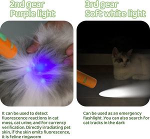 Carrot Charging Model Laser Cat Teaser 5 Patterns Purple Light Cat Laser Toys Retractable Tease the Cat Stick - Product Image 5