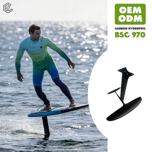 Hydrofoil de Carbono Swiss Lake AXIS BSC 970, Estable, Control Suave, Ala de Entrenamiento para Principiantes en Aguas Tranquilas de Lagos Alpinos - Product Image 1