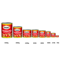 Service d'OEM de pâte de tomate en conserve de haute qualité de fabricant chinois disponible