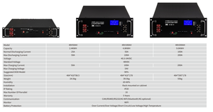 Batterie solaire hybride VoltMaster 51,2 V 50 Ah/150 Ah/250 Ah LiFePO4 à décharge profonde, stockage IP65, double montage mural/sur rack CAN - Product Image 4