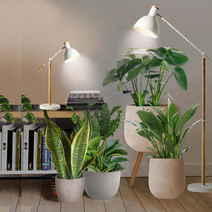 Лампа для растений J&C Full Spectrum Grow Light с цоколем <span class=keywords><strong>E26</strong></span>/E27, 15 Вт (эквивалент 150 Вт) для выращивания комнатных растений и рассады. - Product Image 5