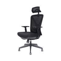 Chaise de bureau Kabel minimaliste contemporaine Ascenseur en tissu Hauteur réglable avec roues Accoudoirs rétractables en maille
