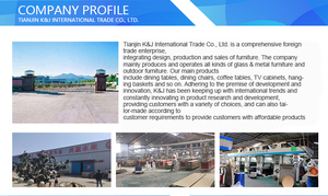 Hot Bán Đồ Nội Thất Phòng Ăn Bắc Âu Thiết Kế Hiện Đại Chần Sợi Vòng Ăn Ghế Với Kim Loại Chân - Product Image 3