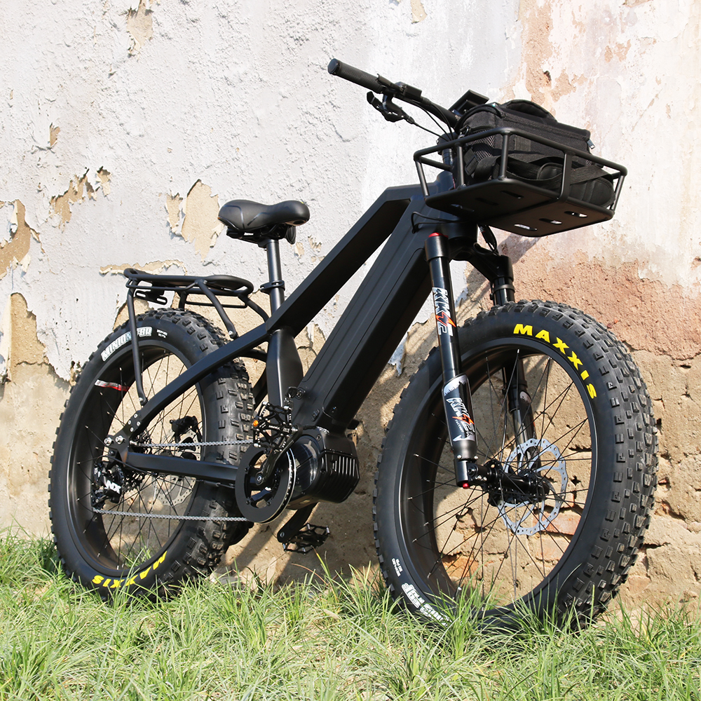 胖胎e自行车双电池48v 1000w bafang mid drive ebike电动自行车雪地