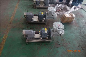 Pompe de transfert de qualité sanitaire en acier inoxydable Ace Pompe à rotor à came volumétrique en asphalte pour sauce au sirop à haute viscosité - Product Image 6