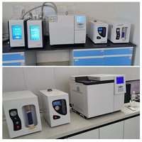 Laboratory Precision Gas Chromatography GC System - Advanced Analysis Instrument