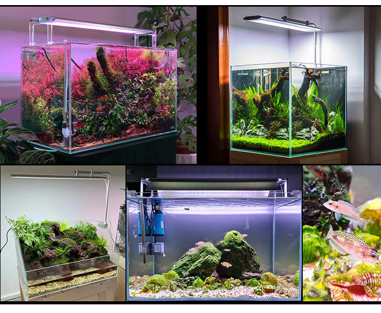 水槽用LEDライト WEEKAQUA M600 Pro 36W WEEK AQUA M600] After installing the top-of-the-line RGB light, my