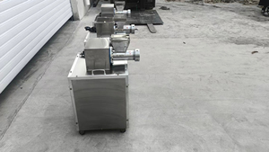 Machine à pâtes automatique multi-formes, <span class=keywords><strong>appareil</strong></span> pour <span class=keywords><strong>faire</strong></span> des nouilles fraîches à base de fruits et de légumes - Product Image 6