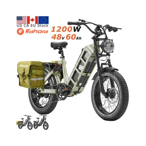 Eahora Juliet Cargo EU US CA Stock Warehouse 1000W/1200W 48V 60Ah 100+ Miles Long Range Mtb E-Bike Electric Bike For Adults