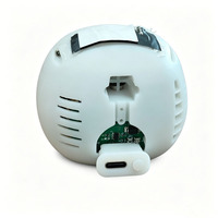 OEM Gemini AI, Partenaire d'éveil et de croissance parent-enfant intelligent et parlant, Poupée en peluche vibrante rechargeable avec expression dynamique des yeux et fonctions profondes