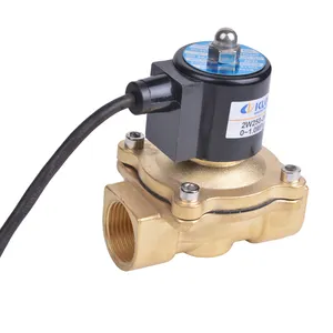 Solenoid Waterproof Solenoid Valves 2W Series IP67 Brass Direct Acting 10bar Waterproof Solenoid Valve For Outdoor Underwater Fountains Irrigation