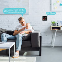 Panneau de contrôle pour maison intelligente avec écran tactile IPS 4 6 7 8 10 12 pouces multifonctionnel Alexa Zigbee Tuya Android OS App Control