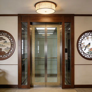 Yaşlılar İçin Kompakt Ev Asansörü Kolay Kontrol Otomatik Kapılı Apartman Villa Asansörü 2-6 PVC Çekişli/Hidrolik Tahrikli - Product Image 3