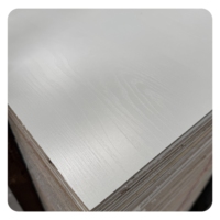 Tablero de Resina Fenólica de Madera Contrachapada de 18 mm y 12 mm, Madera Contrachapada de Abedul Finlandés, Madera Curvada, Madera Contrachapada de 18 mm