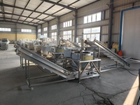 Automatische Spinazie Sla Kool Salade Centrifugale Continue Dehydrator Blad Groente & Fruit Droogmachine Met Transportband