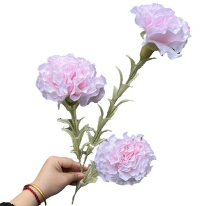 RK271 Promotion Fleur Artificielle Rose Pivoine <span class=keywords><strong>Hortensia</strong></span> en Soie Plastique Rose pour Décoration de Mariage et d'Intérieur Vente en Gros - Product Image 5