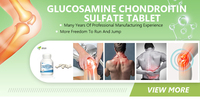 Solution de sulfate de chondroïtine de haute pureté suppléments pour animaux de compagnie de cheval Solution de poudre blanche sulfate de chondroïtine